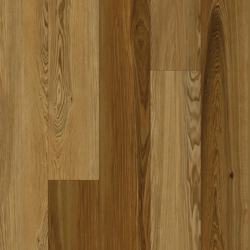 forest cedard sample