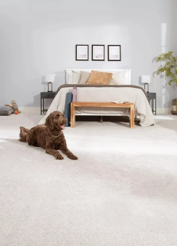Residential pet-friendly carpet in a bright bedroom