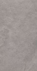 Ash - Image 6